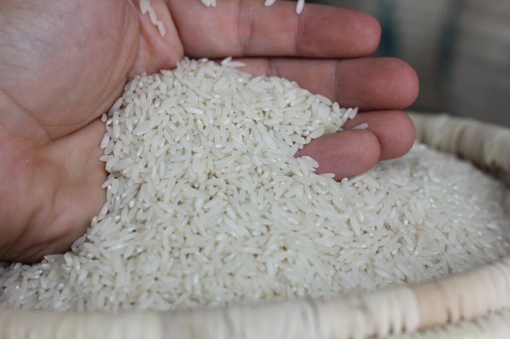برنج درتیسا